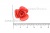 Украшение "Розы малые №1" 20мм - купить в Невинномысске. Цена: 32.49 руб.
