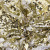 Трикотажное полотно, Сетка с пайетками, шир.130 см, #315, цв.-белый/золото - купить в Невинномысске. Цена 693.39 руб.