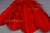 Декоративный Пучок из перьев, перо 23см/красный - купить в Невинномысске. Цена: 11.16 руб.