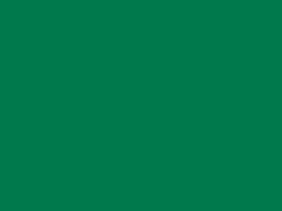 85 см № 258 яр. зеленый спираль (G) сорт-2 - купить в Невинномысске. Цена: 16.97 руб.