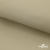 Ткань подкладочная TWILL 230T 14-1108, беж светлый 100% полиэстер,66 г/м2, шир.150 cм - купить в Невинномысске. Цена 90.59 руб.