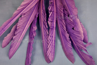 Декоративный Пучок из перьев, перо 25см/фиолетовый - купить в Невинномысске. Цена: 12.19 руб.