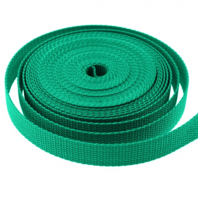 Стропа текстильная, шир. 25 мм (в нам. 50+/-1 ярд), цвет яр.зелёный - купить в Невинномысске. Цена: 397.52 руб.