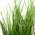 Трава искусственная -4, шт  (осока 50 см/8 см  7 листов)				 - купить в Невинномысске. Цена: 130.73 руб.